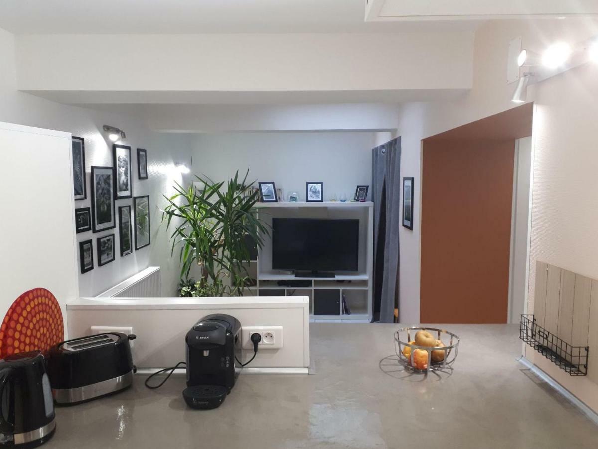 Le Souplex Apartment Troyes Bagian luar foto