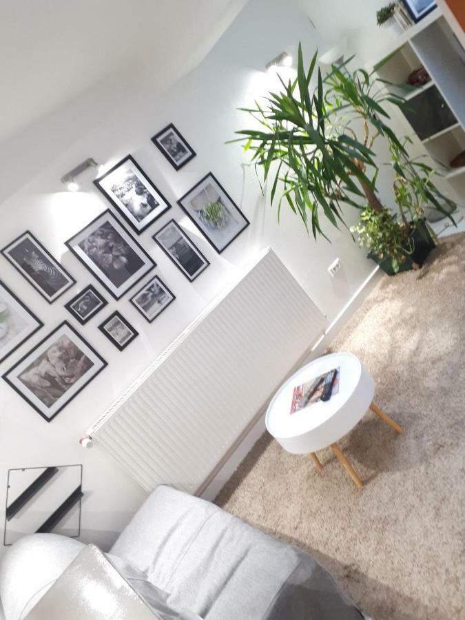 Le Souplex Apartment Troyes Bagian luar foto